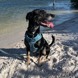 Meet your Posher, Aaron